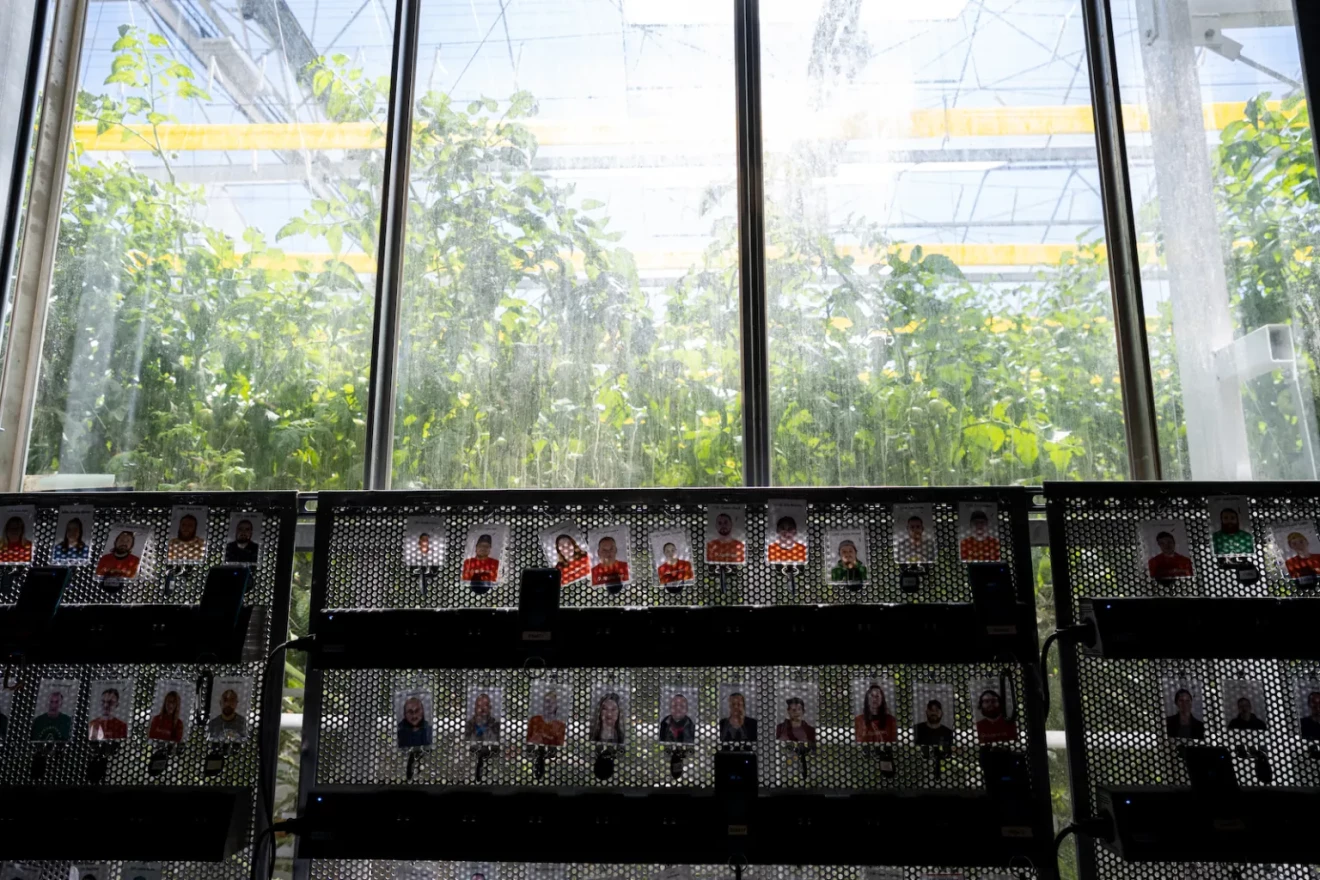  Employee badges are hung on a wall near the West greenhouse of Appharvest on June 14, 2021 in Morehead, Kentucky. 